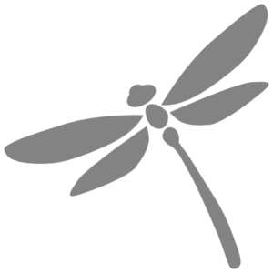 Holly Sanders - Dragonfly Favicon